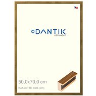 DANTIK frame 50 × 70, KASSETTE gold plexi clear - Photo Frame