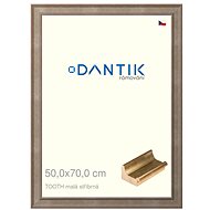 DANTIK frame 50 × 70, TOOTH small silver plexi clear - Photo Frame