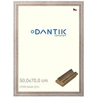 DANTIK frame 50 × 70, LYON grey plexi clear - Photo Frame