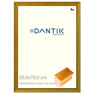 DANTIK frame 50 × 70, clear AU plexiglass swing - Photo Frame