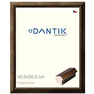 DANTIK frame 40 × 50, Forgia Bronzea plexi clear - Photo Frame