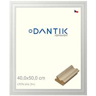 DANTIK frame 40 × 50, LYON White plexi clear - Photo Frame