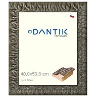 DANTIK frame 40 × 50, Dora Silver plexi clear - Photo Frame