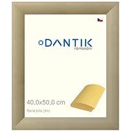 DANTIK frame 40 × 50, Rene white plexi clear - Photo Frame