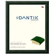 DANTIK frame 40 × 50, LEDVINKA green plexi clear - Photo Frame