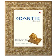 DANTIK frame 40 × 50, WING decorative gold plexi clear - Photo Frame
