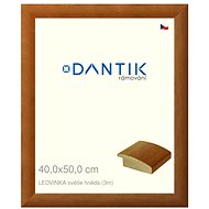 DANTIK frame 40 × 50, LEDVINKA light brown plexi clear - Photo Frame