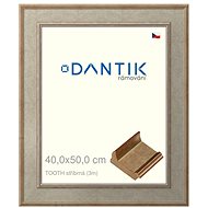 DANTIK frame 40 × 50, TOOTH silver plexi clear - Photo Frame