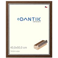 DANTIK frame 40 × 50, TAIGA brown plexi clear - Photo Frame