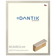 DANTIK frame 40 × 50, KASSETTE white, pierced plexi clear - Photo Frame