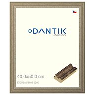 DANTIK frame 40 × 50, LYON silver plexi clear - Photo Frame