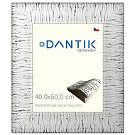 DANTIK frame 40 × 50, SAUDEK White black plexi clear - Photo Frame