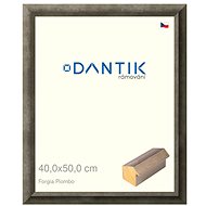 DANTIK frame 40 × 50, Forgia Piombo plexi clear - Photo Frame