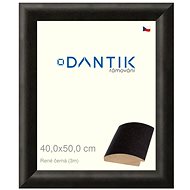 DANTIK frame 40 × 50, Rene black plexi clear - Photo Frame