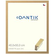 DANTIK frame 40 × 50, KASSETTE ash plexi clear - Photo Frame