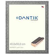 DANTIK frame 40 × 50, MARGOT graphite plexi clear - Photo Frame