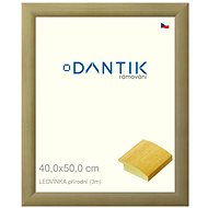 DANTIK frame 40 × 50, LEDVINKA natural plexi clear - Photo Frame