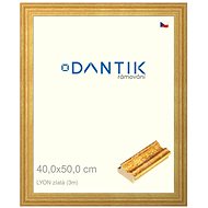 DANTIK frame 40 × 50, LYON gold plexi clear - Photo Frame