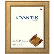 DANTIK frame 40 × 50, TOOTH gold plexi clear - Photo Frame