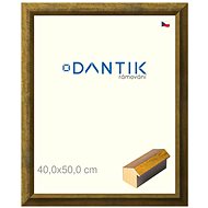 DANTIK frame 40 × 50, Forgia Gold plexi clear - Photo Frame