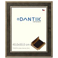 DANTIK frame 40 × 50, TOOTH gold black plexi clear - Photo Frame