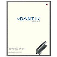 DANTIK frame 40 × 50, ALU profile 7269 Grey brushed plexi clear - Photo Frame