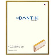 DANTIK frame 40 × 50, EVOQUE yellow plexi clear - Photo Frame