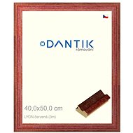 DANTIK frame 40 × 50, LYON red plexi clear - Photo Frame