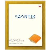 DANTIK frame 40 × 50, LEDVINKA yellow plexi clear - Photo Frame