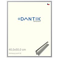 DANTIK frame 40 × 50, ALU profile 7002 Silver matt plexi clear - Photo Frame