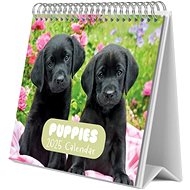 Puppies - desk calendar - Desk Calendar