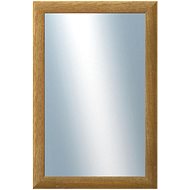 DANTIK Mirror in frame 40 × 60 cm LEDVINKA brown - Mirror
