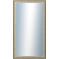 DANTIK Mirror in frame 50 × 90 cm LYON silver - Mirror