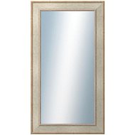 DANTIK Mirror in frame 50 × 90 cm TOOTH silver - Mirror