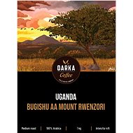 Uganda Bugishu AA Mount Rwenzori, 1000g - Coffee