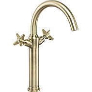 DEANTE Temisto basin mixer - tall, brass (BQT_M25D) - Tap