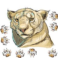 Decoralina – Tiger Time - Samolepicí fólie
