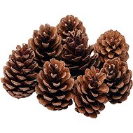 Decoled pine cones 8 × 12 cm, 6pcs - Decoration