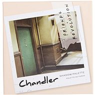 REVOLUTION X Friends Chandler 9g - Eye Shadow Palette