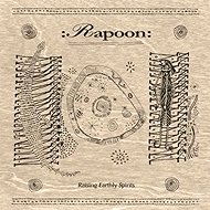 Rapoon: Raising Earthly Spirits LTD - Music CD