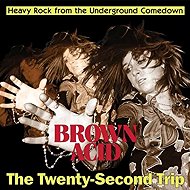 Various: Brown Acid: The Twenty-Second Trip - Music CD