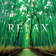 Various: Relax - Music CD