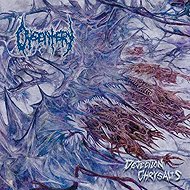 Dysentery: Dejection Chrysalis - Music CD