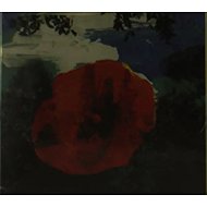 Mystic Braves: The Great Unknown - Music CD