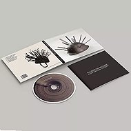 Thurston Moore: Flow Critical Lucidity - Music CD