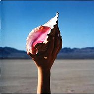 The Killers: Wonderful Wonderful - Music CD