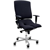 3DE Asana Steel, Black - Office Chair