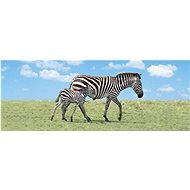 Bookmark Awesome Zebra with cub - Bookmark