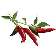 Click And Grow Chili Pepper - Sadenice