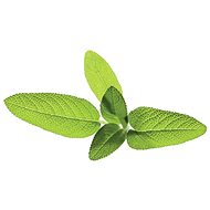 Click and Grow Garden Sage - Seedling Planter